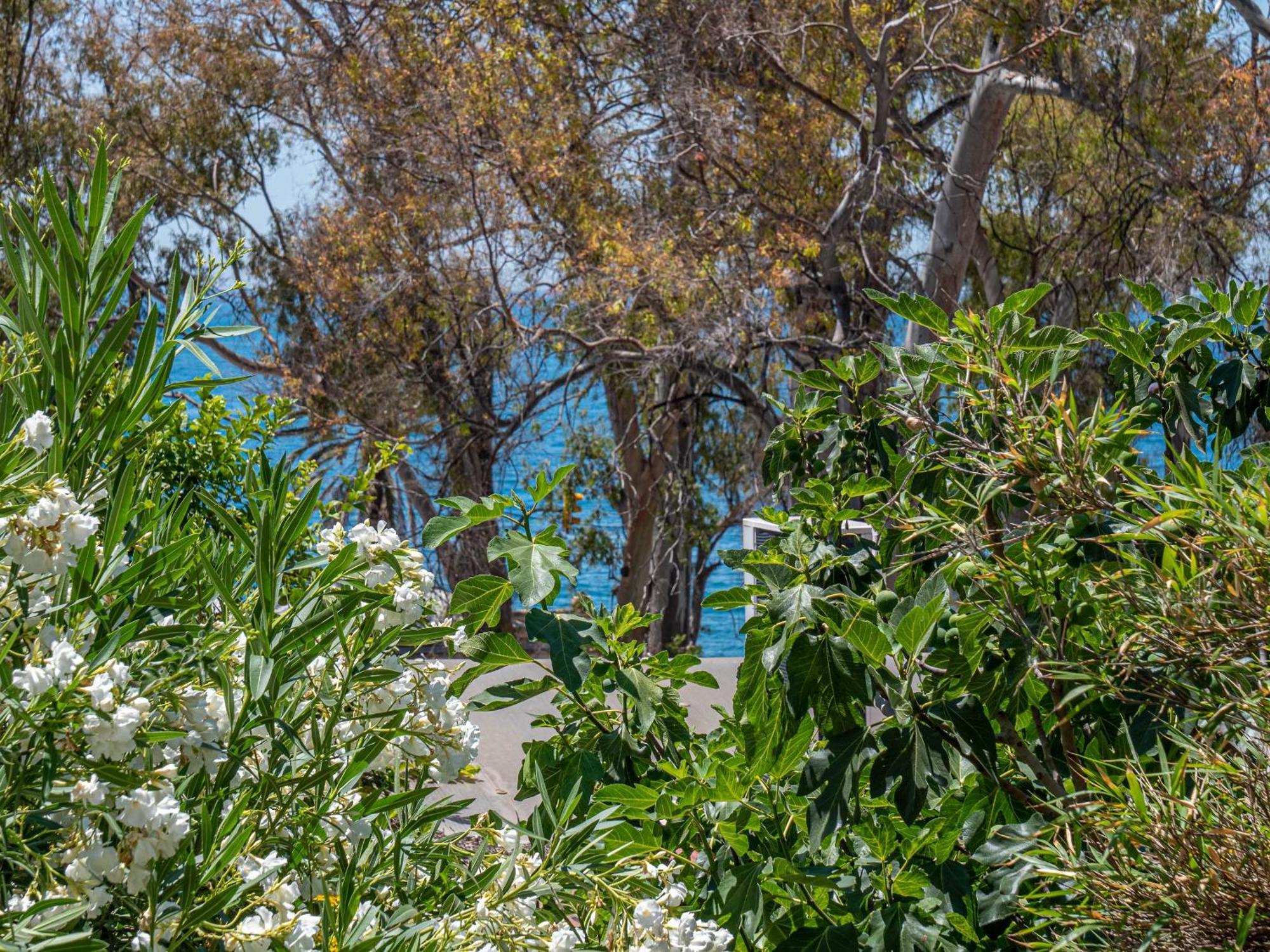 Blue Sea - Houses With Terrace Μάλαγα Εξωτερικό φωτογραφία
